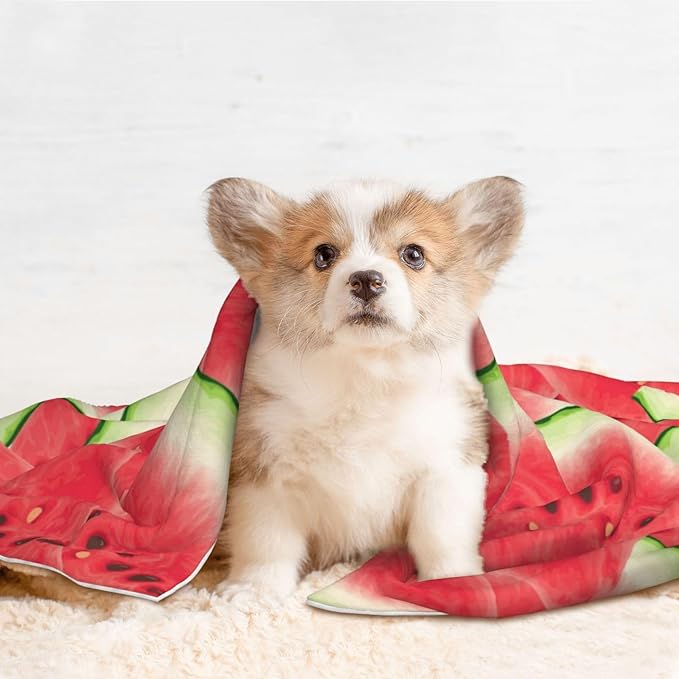 Double Sided Plush Pet Blanket with Cozy Dot Texture and Smooth Reverse, Watermelon Fruit Summer Art, Reversible Throw for Dogs Cats on Couches Beds Crates