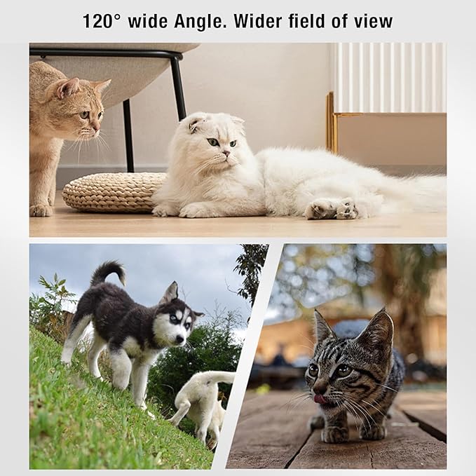 ASHATA Pet Collar Camera, HD 1080P Cat Camera Collar with Video Record (Black)