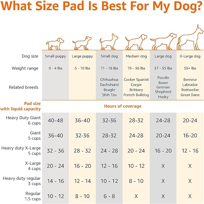 Amazon Basics Puppy Pads, Heavy Duty with 5-Layer Leak-Proof Design, Quick-Dry Surface, Built-In Attractant Potty Pads for Dogs, X-Large, 34 x 28 in., 10-Count