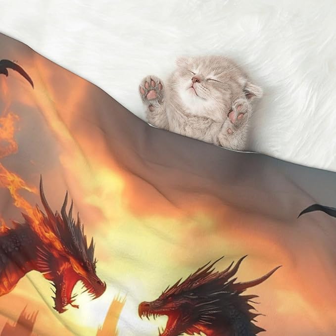Castle Cool Fire Dragon Print Soft Plush Pet Blanket, Washable Dog Blanket, Cat Fleece Throw, Puppy Bed Crate Mat & Sofa Couch Protector - Small
