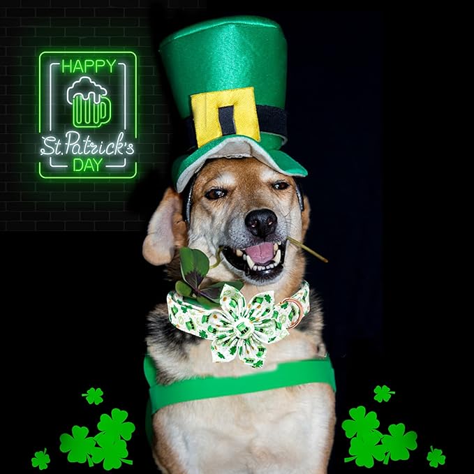 Lionheart glory St. Patrick's Day Dog Collar with Flower Dogs Collar,Soft Green Lucky Clover Shamrock Dog Collars Flower for Large Dogs Soft Collars Bows Heavy Duty