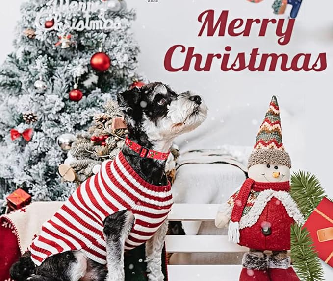 Christmas Dog Collar - Premium Adjustable Dog Collar for Small Medium Large Dogs (Christmas,M)