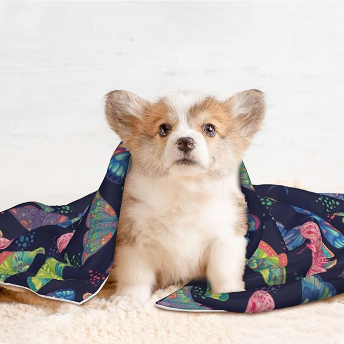 Two Sided Plush Pet Blanket for Warmth Comfort, Colorful Butterflies, Reversible Throw with Cozy Nubby Side for Chilly Nights Napping Spots Around House
