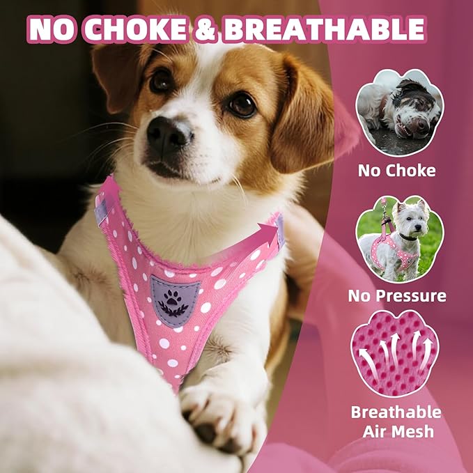 PAWCHIE Dog Harness and Leash Set, Step in No Pull Soft Pet Harness, Reflective Adjustable Puppy Vest for Small Medium Dogs Cats, No Choke Harness Vest with Poop Bag Holder for Walking,Running, Pink S