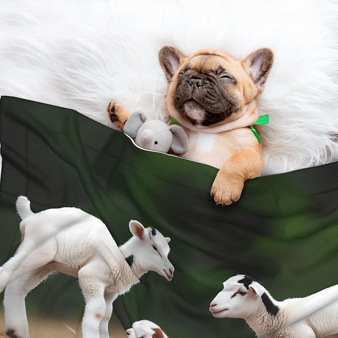 Waterproof Dog Blanket Soft Pet Blanket for Puppy Cat, Fleece Cat Throw Blankets for Furniture Bed Couch Sofa Reversible - Cute Goat