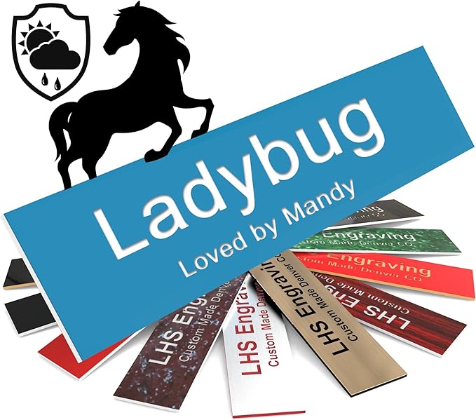 Personalized Horse Stall Name Plates, 2x12 Horse Stall Signs with Adhesive, All Weather UV Protected, Light Blue Plastic White Letters - Made in USA - B1