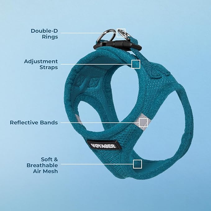 Best Pet Supplies Voyager Step-in Air Harness - All Weather Mesh, Reflective, No Pull Harness for Dogs, Cats - Secure with Hook & Loop Fastener, Buckle, Double D-Rings - Turquoise, XXS
