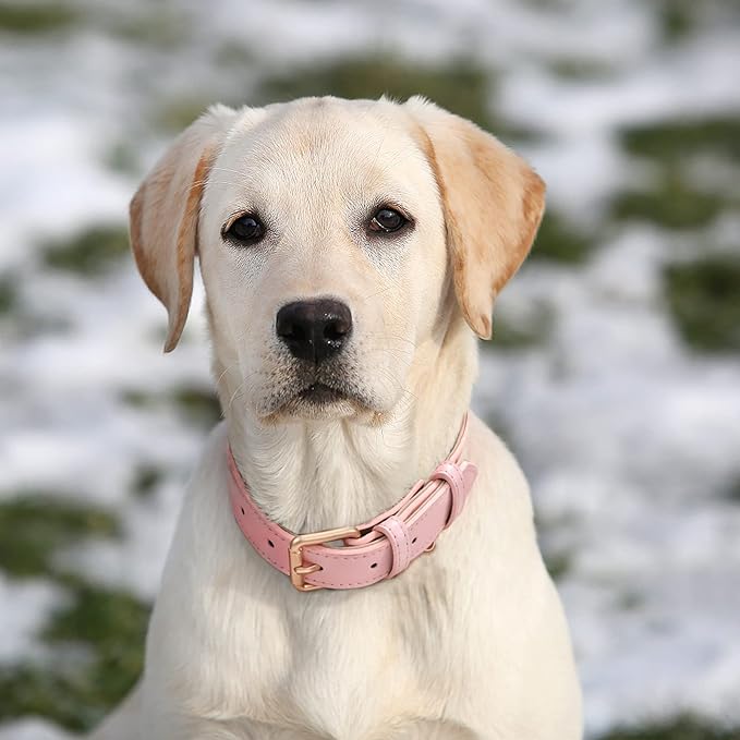 WHIPPY Leather Dog Collar for Small Medium Large Dog Adjustable Soft Breathable Leather Padded Puppy Collar with Alloy Buckle Heavy Duty Waterproof Classic Dog Pet Collar,Pink,L