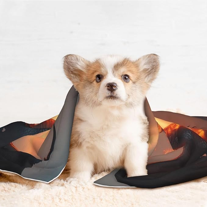 Castle Cool Fire Dragon Print Soft Plush Pet Blanket, Washable Dog Blanket, Cat Fleece Throw, Puppy Bed Crate Mat & Sofa Couch Protector - Small
