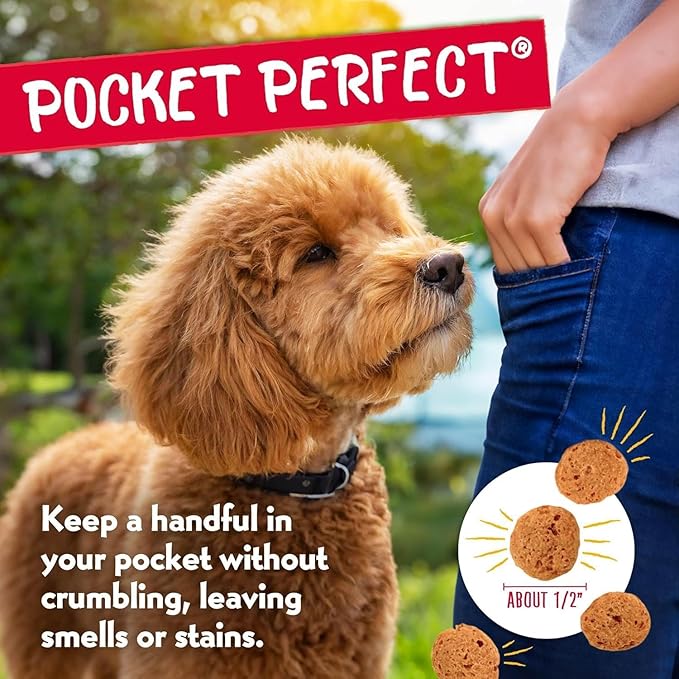 Charlee Bear Crunchy Dog Training Treats, Low Calorie (3 Kcal), Grain Free Natural Mini Dog Treats for Puppies, Small, Medium & Large Dogs, USA Made, Healthy Bacon-Blueberry Flavor 8oz (2-Pack)