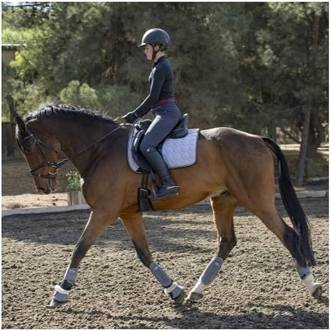 Professional's Choice Pro Performance Hybrid Splint Boot | Durable Pro Mesh Outer Layer | Integrated Strike Area | Exercise or Turnout | Waterproof | Front or Hind Legs | Medium and Large