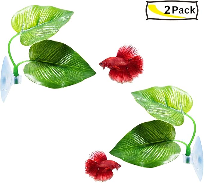 CousDUoBe 2 Pack Betta Fish Leaf Pad Improves Betta's Health by Simulating The Natural Habitat - Natural, Organic, Comfortable Rest Area for Fish Aquarium Ornaments
