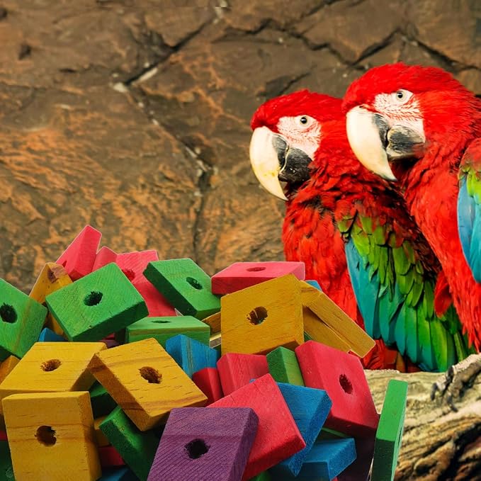 NOLITOY 100Pcs Wooden Parrot Chewing Toy Blocks with Hole Bird Bite Toy for Cockatiels Parakeets Macaws African Grey DIY Wood Chip Design for Pet Entertainment and Skill Development