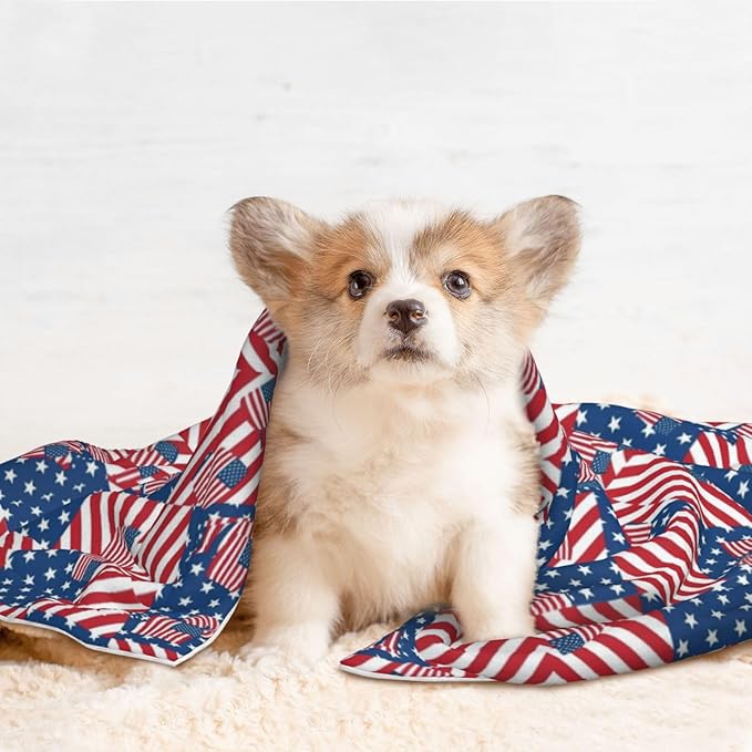 Pet Blanket for Indoor Outdoor Use, American Flag Plaid Pattern, Two Sided Reversible Plush Mat with Bumpy Dot Texture for Patios Crates Portable Bed Companion