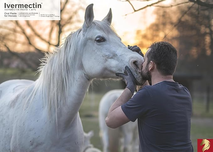 Ivermectin for Horses & Sheep 1.87% Concentration, 6cc, 7 Pack