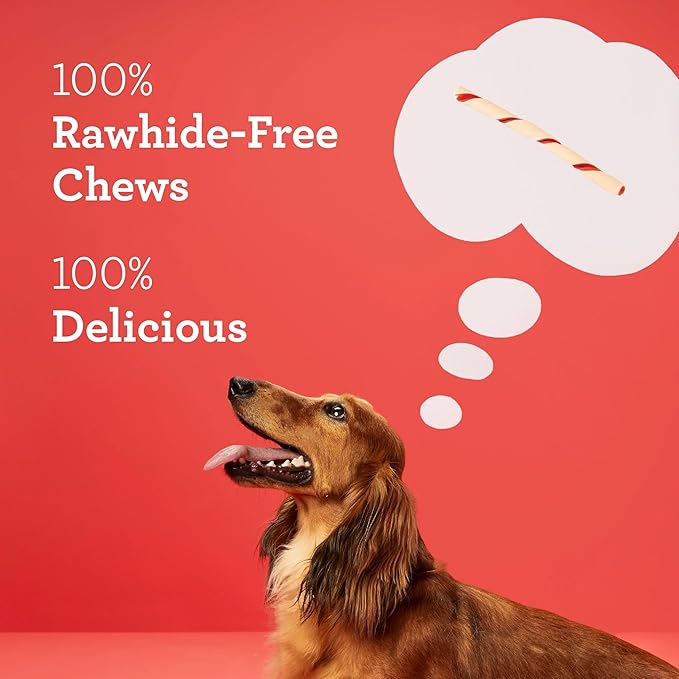 Dreambone Twist Sticks Rawhide Free Dog Chews, Made with Real Chicken, 100 Count (Pack of 1)