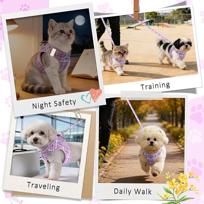 Gyuzh Small Dog Harness and Leash Set for Puppy & Kitten - 3-in-1 No Pull Step in Vest Collar, Lightweight Reflective Plaid, Padded Handle (Purple, XS)