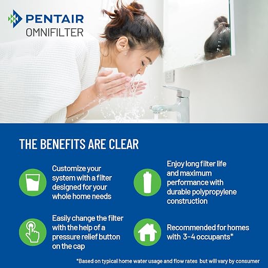 Pentair OMNIFilter Whole Home 10" Heavy-Duty Big Blue Water Filtration System