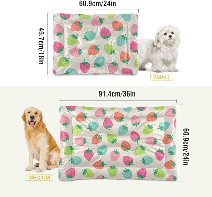 Strawberry Fruits Pet Bed Cute Dog Bed Mat Absorbing Non Slip Pad Pet Sleeping Mat for Small, Medium, and Large Dogs Puppy Cat 24 in x 18 in