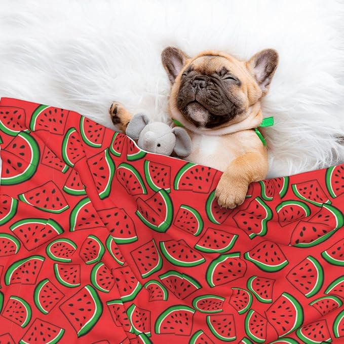 Reversible Dog Blanket for Beds Couches, Summer Fruit Red Green Watermelon, Double Sided Cat Blanket with Textured Dot Feel and Smooth Feel for Seasonal Comfort All Year
