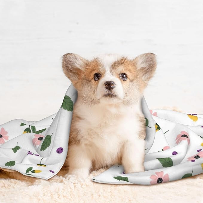 Two Sided Plush Pet Blanket for Warmth Comfort, Leaf Autumn Pattern, Reversible Throw with Cozy Nubby Side for Chilly Nights Napping Spots Around House