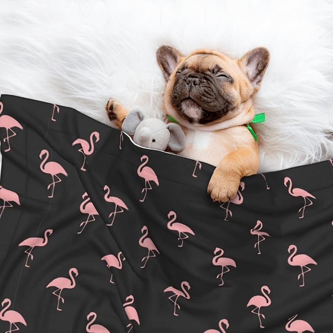 Reversible Dog Blanket for Beds Couches, Flamingo, Double Sided Cat Blanket with Textured Dot Feel and Smooth Feel for Seasonal Comfort All Year