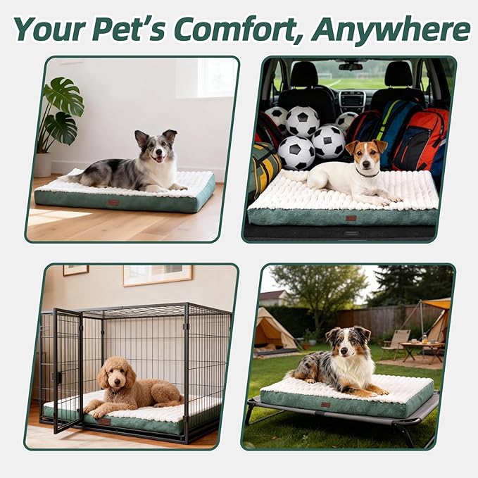 Orthopedic Dog Bed with Firm High-Density Egg Crate Foam, Machine Washable Cover & Non-Slip Bottom for Medium Breeds (Green, 29" L x 18" W x 3" H)