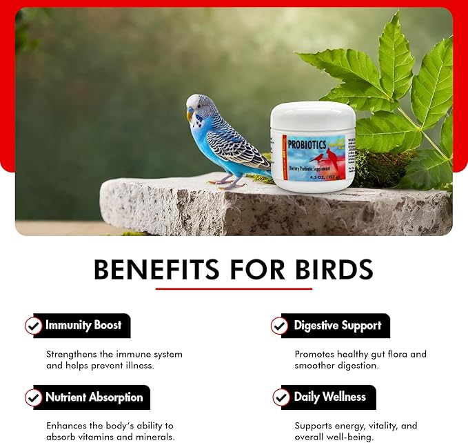 Morning Bird Probiotics for Birds 4.5 oz – Digestive Health Supplement Supporting Gut Balance, Nutrient Absorption & Immune Support – Easy Mix Powder Supplement for All Bird Species