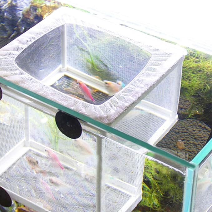 SagaSave Fish Breeder Box, Plastic Frame Hatching Box Separation Net Breeding Box with Suction Cup for Aquarium (Small Size)