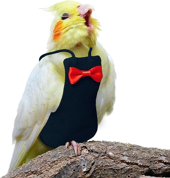 Bird Diaper Washable Reusable Parrot Flight Suit Nappies Protective Breathable Parrot Nappy Clothes for Parakeet, Macaw, Budgie, Canary, Cockatiel (Black, XXL)