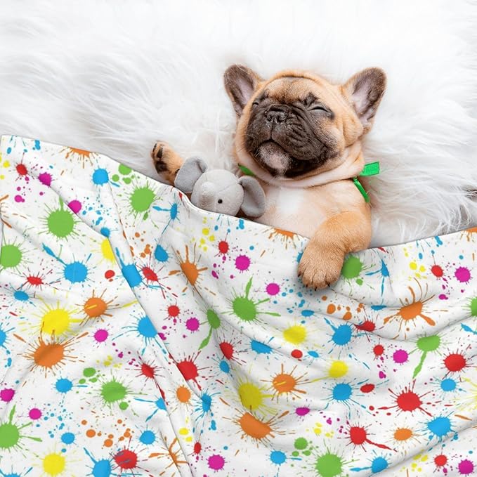 Reversible Plush Throw for Dogs and Cats, Paint Splatter Colorful, Double Sided Blanket with Nubby Dot Side and Sleek Side Ideal for Cuddling Nesting Security