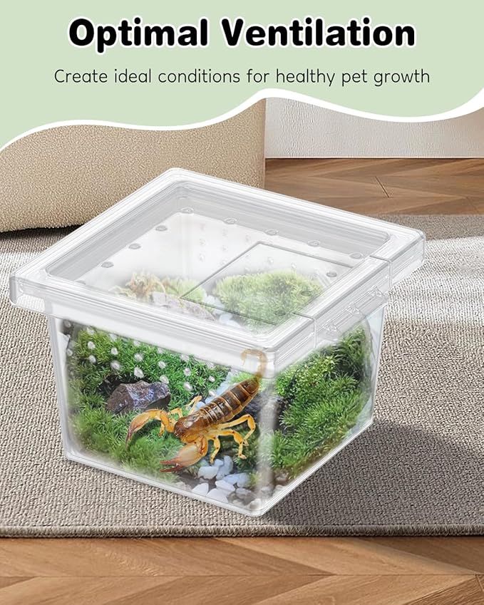 Pawfly 10 Pcs Mini Spider Terrarium Breeding Box, Transparent Plastic Jumping Spider Enclosure Cricket Keeper Tarantula Enclosure, Small Reptile Hatching Container for Scorpion Centipede Gecko Mantis
