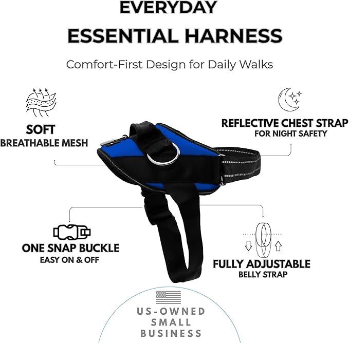 ShawnCo Essential Dog Harness, No-Pull Pet Vest with 3 Leash Clips, No Choke, Reflective, Adjustable and Padded, for Easy Walking and Training for Small, Medium and Large Dogs (Electric Blue,L)