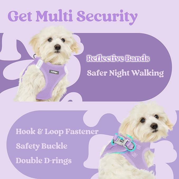 rabbitgoo Small Dog Harness, Step-in Soft Mesh Puppy Vest with Safety Buckle, Breathable Reflective Pet Harness for Small Sized Dogs, Light Purple XS