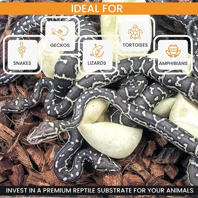 ReptiChip Reptile Bedding Loose Coconut Chip 6 Quart Coco Husk Substrate Mulch for Snake Habitat, Ball Python Terrarium, Turtle Tanks, Tortoise Enclosure