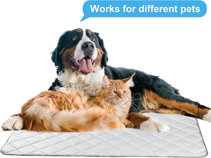 Langsprit Dog Cooling Mat, Washable Dogs Cats Pet Non-Toxic Cooling Pads Summer Sleeping Kennel Mats，Pet Self Cool Ice Blanket for Indoor & Outdoor Dog Beach Essentials Light Gray Large