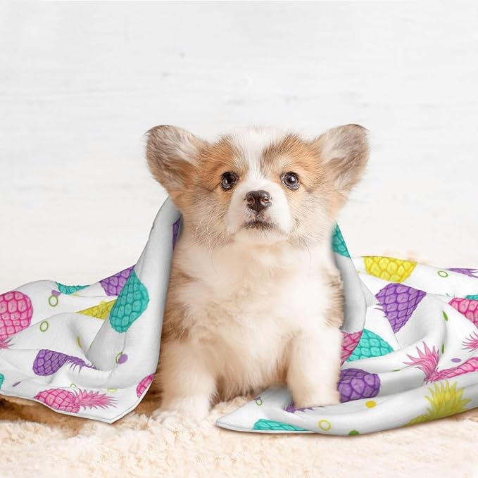 Two Sided Plush Pet Blanket for Crates Carriers Home Use, Colorful Tropical Summer Pineapple Print, Reversible Throw with Cozy Dot Fabric and Silky Reverse for Small Large Pets