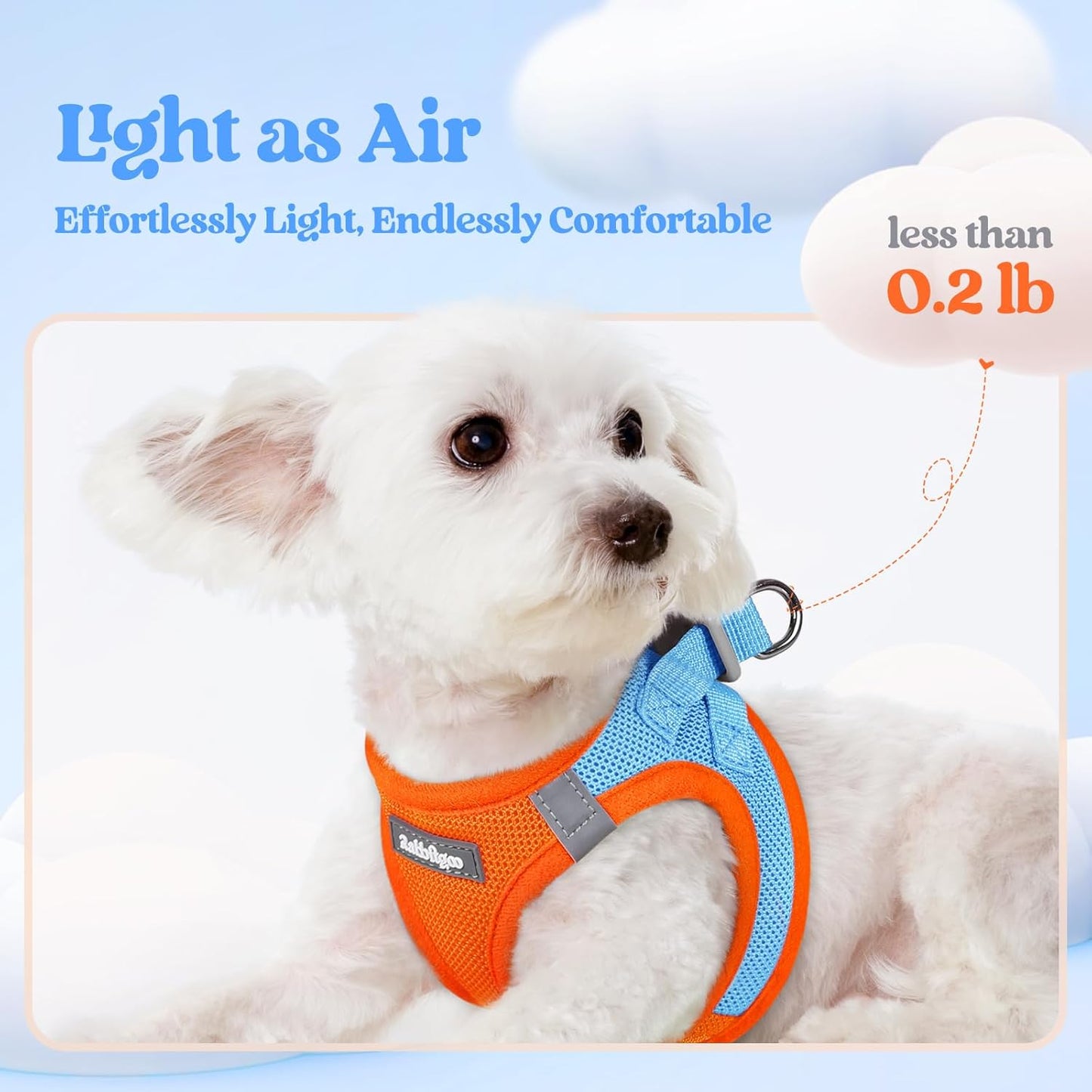 rabbitgoo Dog Harness Small Sized and Leash Set, Step in Soft Light Puppy Vest, Breathable Mesh Pet Harness, Reflective for Safe Easy Walking, Blue & Orange XXS
