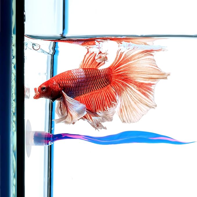 WILLBOND 2 Pcs Blue Silicone Betta Fish Bed Leaf Hammock Betta Fish Tank Accessories Decorations for Aquarium Ornaments, Practical Resting Spot, No Bpa, Comfortable and Safe