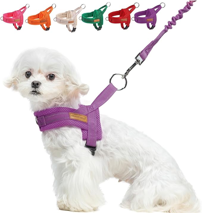 BEAUTYZOO Dog Harness for Small Dogs, No Pull Dog Harness and Leash Set, Soft Escape Proof Puppy Vest Harness with Handle, Reflective Lightweight Step in Harness for Girl Boy Dogs, Purple XS