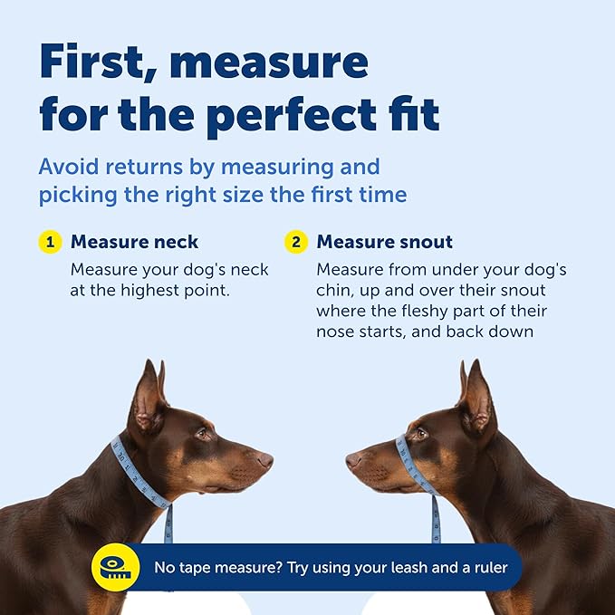 PetSafe Gentle Leader Headcollar No-Pull Dog Collar - Helps Improve Walks - Durable Nylon Construction - Padded Nose Loop - Adjustable Fit - Comfort Walking Halter - Small, Red