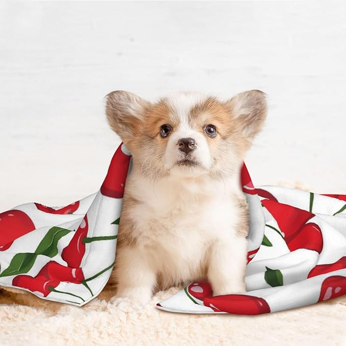 Cherry Print Soft Plush Pet Blanket, Washable Dog Blanket, Cat Fleece Throw, Puppy Bed Crate Mat & Sofa Couch Protector - Small