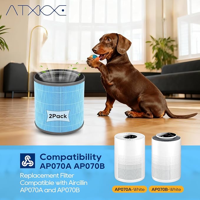 AP070B Replacement Filter Compatible