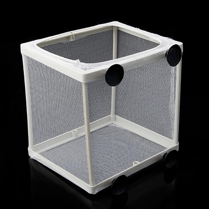 SagaSave Fish Breeder Box, Plastic Frame Hatching Box Separation Net Breeding Box with Suction Cup for Aquarium (Small Size)