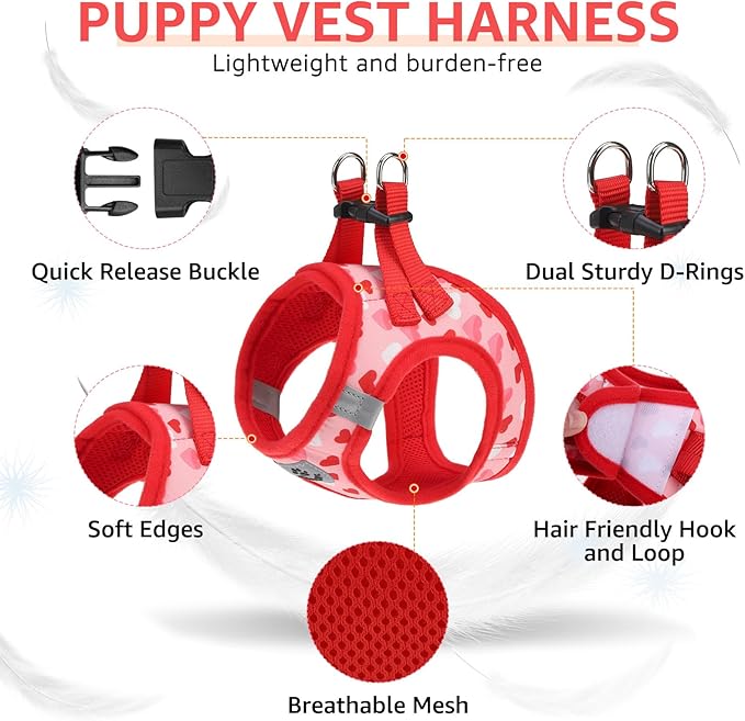 SCENEREAL Valentines Dog Harness Collar and Leash Set, Step in No Pull Soft Mesh Pet Harnesses for Small Medium Dogs Puppy Cats, No Chock Reflective Vest Harness