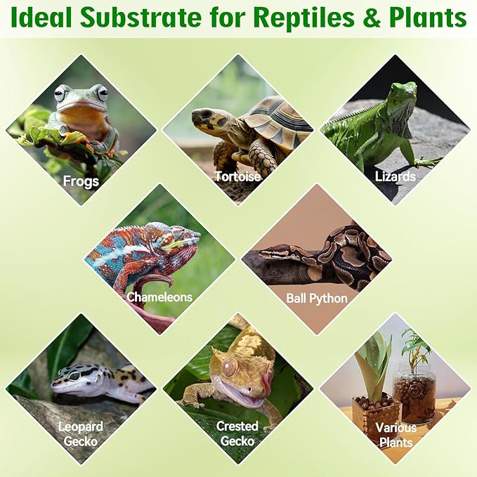 Halatool Reptile Substrate 8QT Leca Clay Pebbles for Reptiles Organic Hydroballs Bioactive Drainage Layer Terrarium Bedding for Leopard Gecko Tortoise Frog Lizard Ball Python