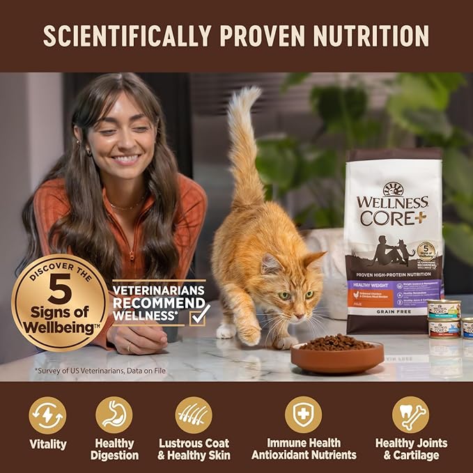 Wellness CORE+ Adult Dry Cat Food for Indoor and Outdoor Cats, Wholesome Grains, Natural, Digestive Health Chicken & Rice (11 Pound Bag)