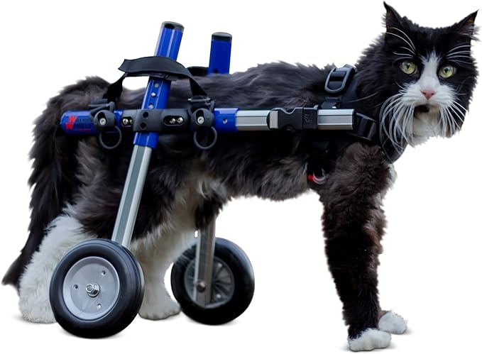 Walkin' Wheels Lightweight – for Small Cats 2 to 20 Pounds – Veterinarian Approved – Cat Wheelchair for Back Legs, for Cats 11-20 lbs, 7-8 inches Leg Height – Blue