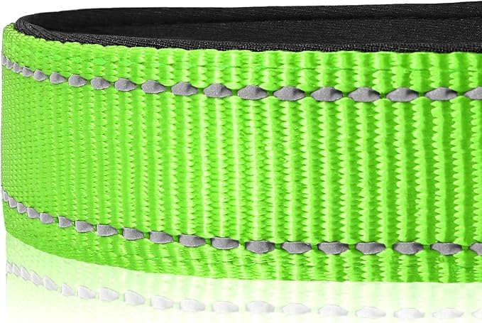 Joytale Reflective Dog Collar, Soft Neoprene Padded, Metal D-Ring, Nylon Pet Collar Adjustable for Extra Large Dogs, Green, XL