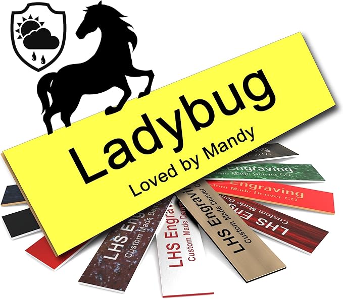 Horse Stall Name Plate, 2x12 Personalized Stall Signs, UV Protected, All Weather Adhesive, Hanging, Mounting or Other, Yellow Plastic Black Letters - Made in USA - B4